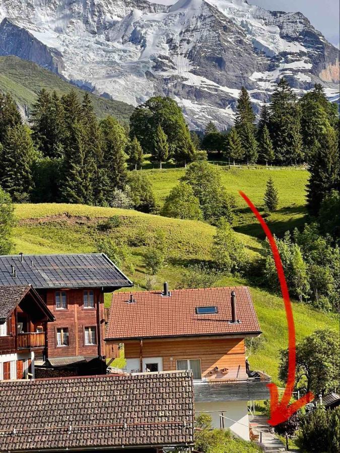 Chalet Viola Wengen Buitenkant foto