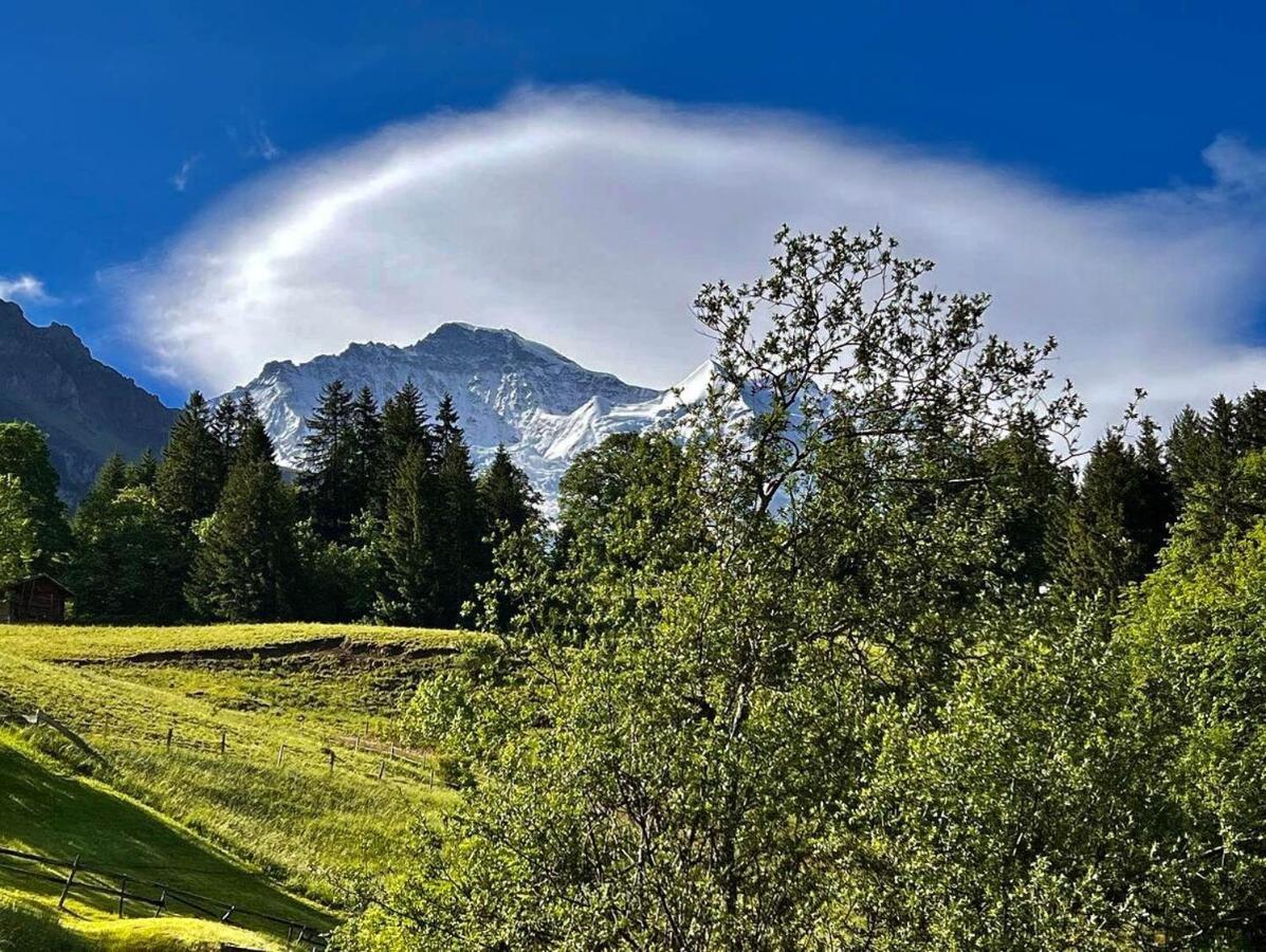 Chalet Viola Wengen Buitenkant foto