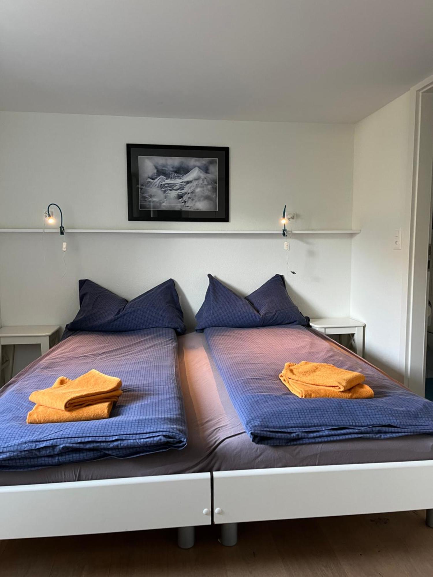 Chalet Viola Wengen Buitenkant foto