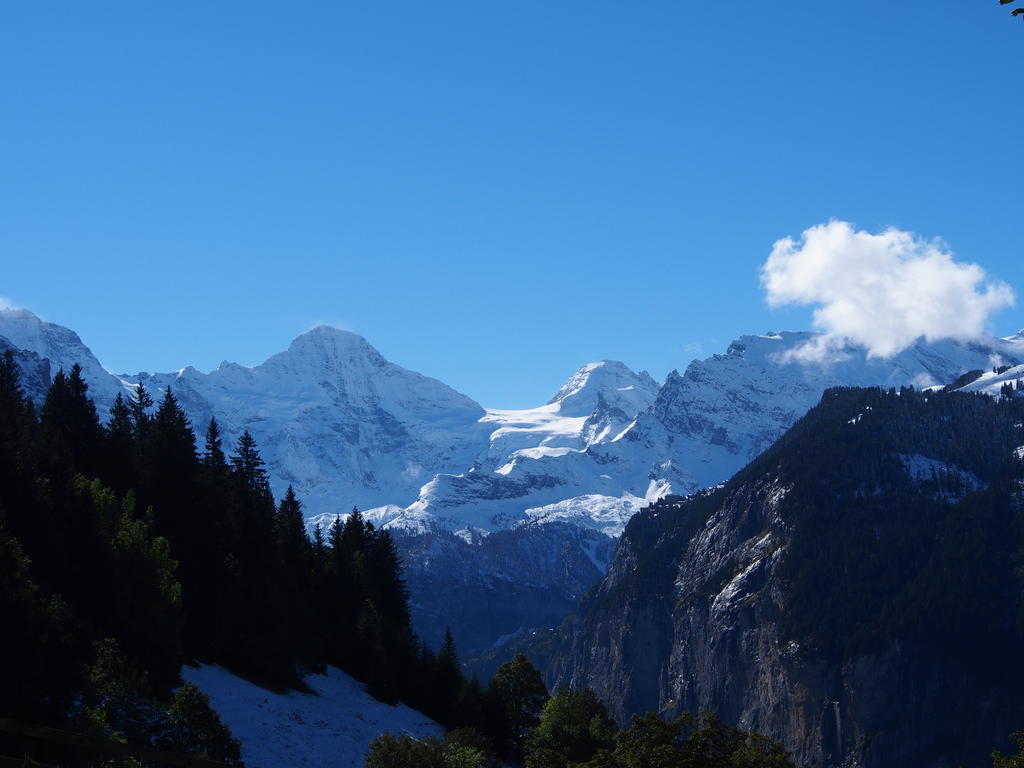 Chalet Viola Wengen Buitenkant foto